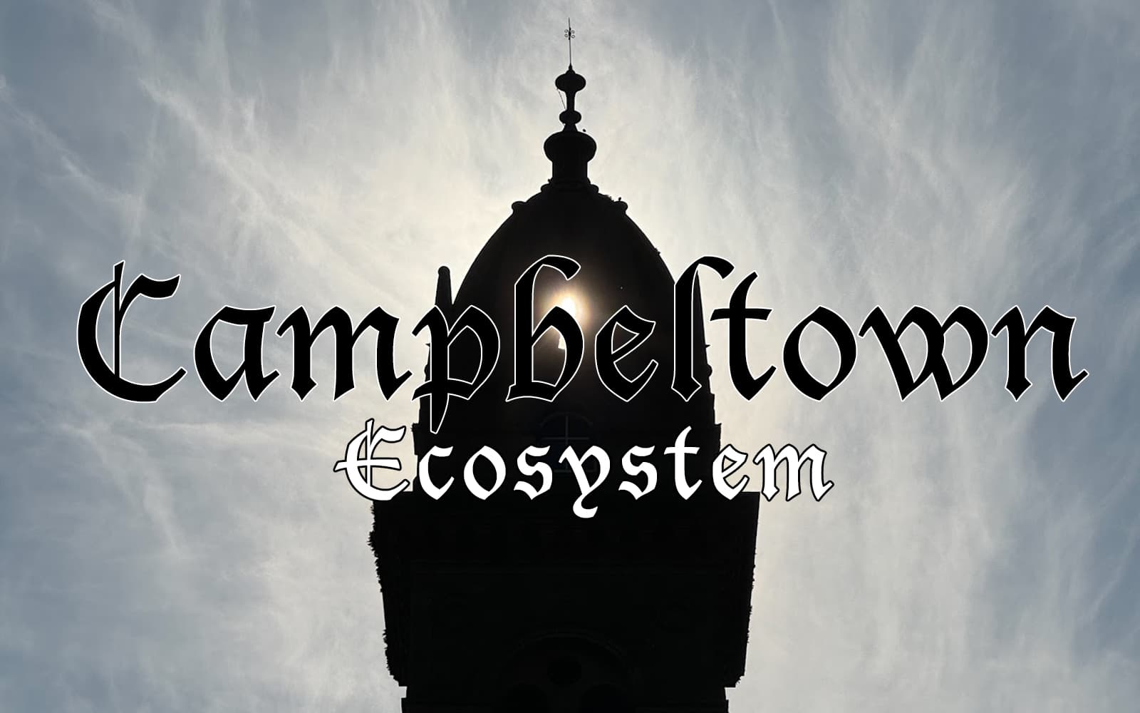Campbeltown Ecosystem