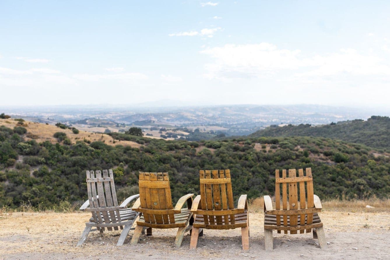 Nearby Vineyard in Paso Robles