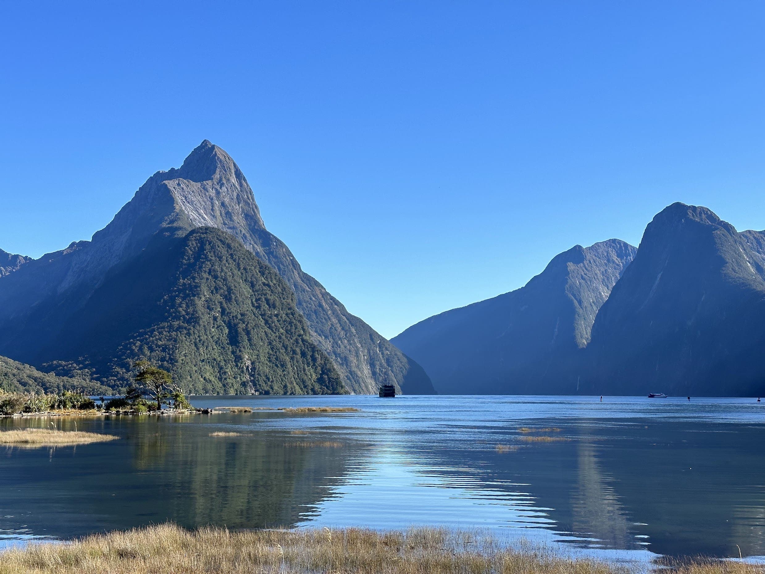 NZ Landscape