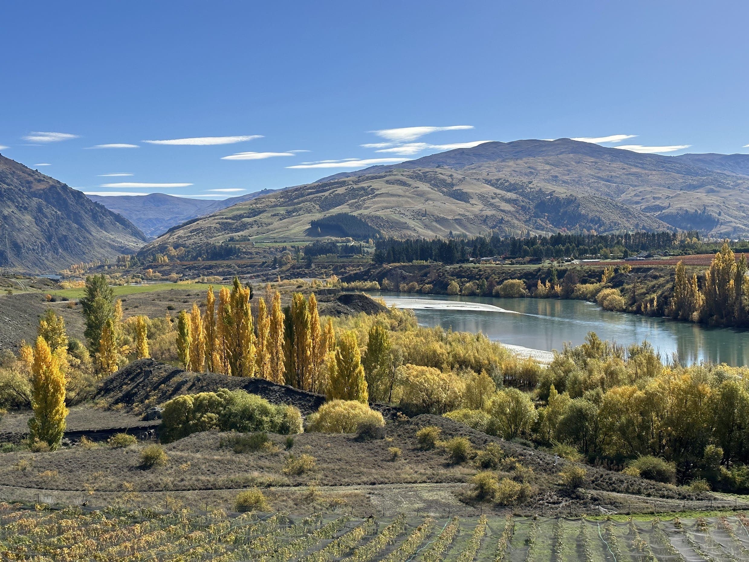 NZ Landscape