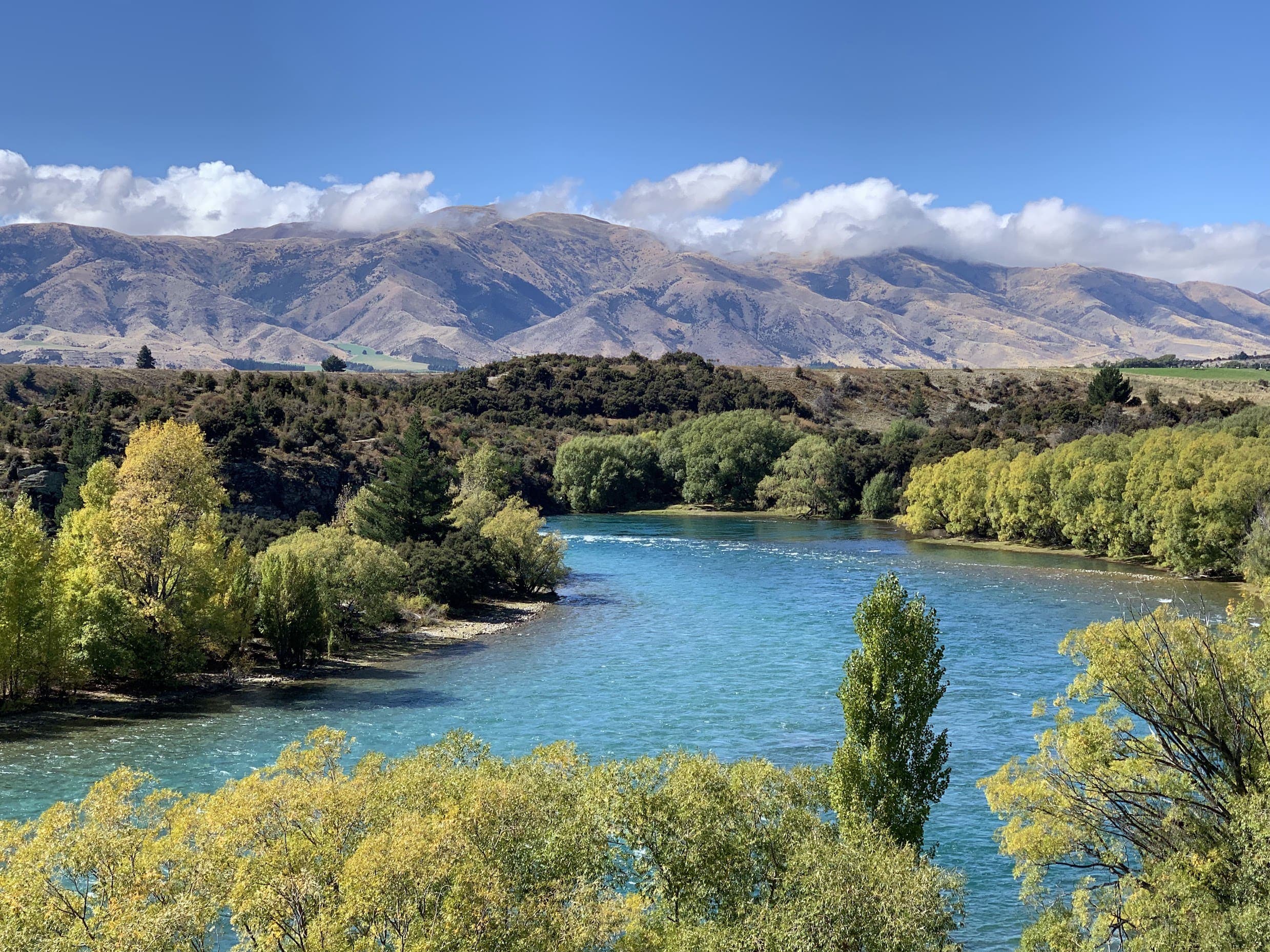 NZ Landscape