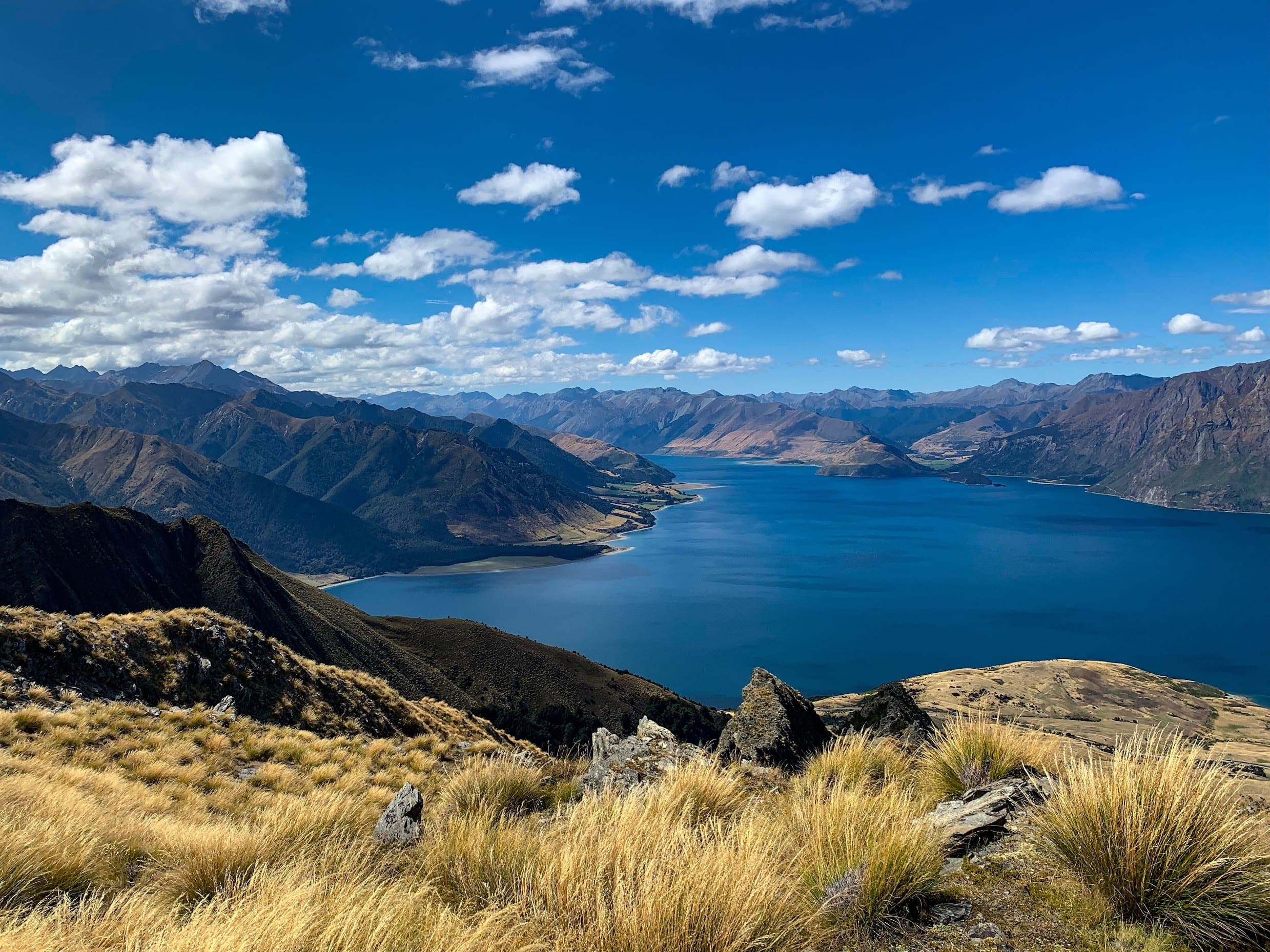 NZ Landscape